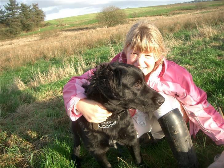 Blanding af racer Charlie - er vi ik bare bedårende...gg billede 20