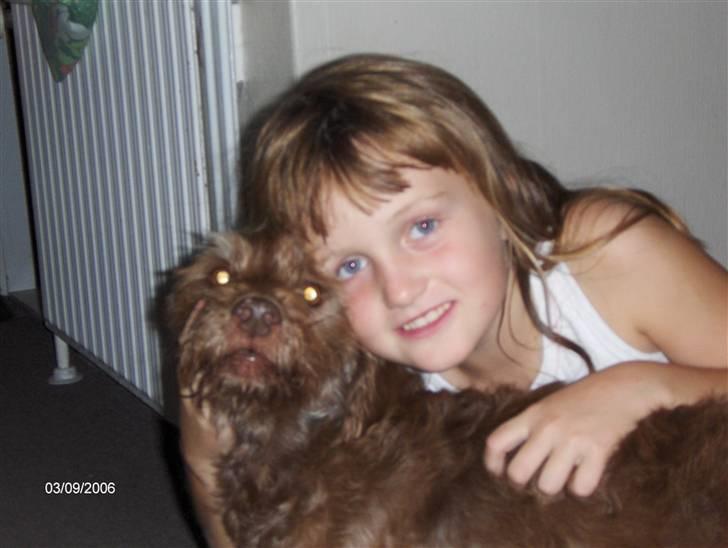 Blanding af racer Buster - Buster og min lillesøster <3  billede 1