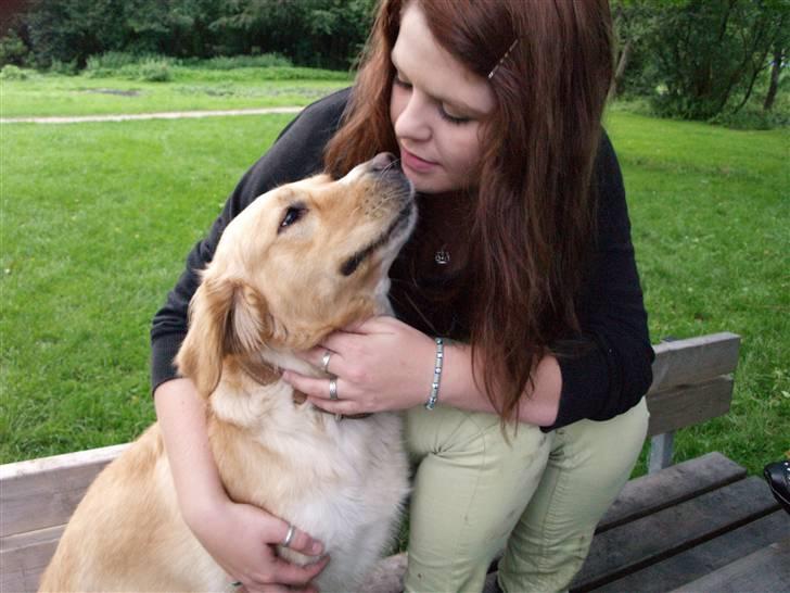 Blanding af racer Mira - Fotograf: Min ven Daniel som også er fotograf for glows.dk . .. ingen kopier a billederne tak! billede 7