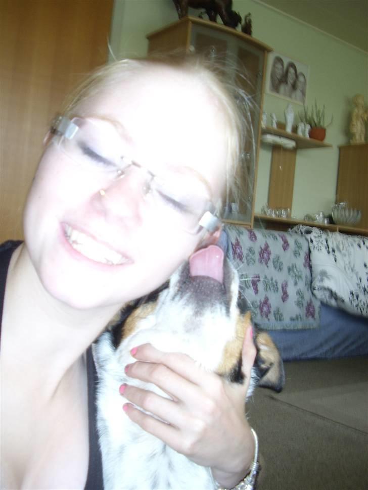 Dansk svensk gaardhund Lucky - Kyz... Jeg elsker dig=) billede 15