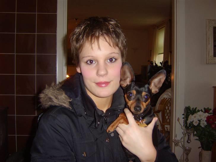 Prazsky krysarik Speedy - her er jeg igen billede 7