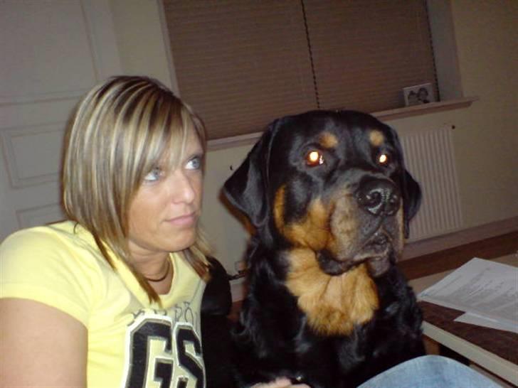 Rottweiler Samson R.I.P. - Mig og min Mor... billede 5