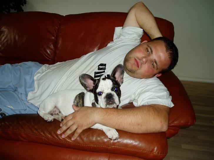 Fransk bulldog Enzo (død) - Fars hund... Vi mandehørmer, eller jeg gør ihvert fald., altså hørmer. billede 8
