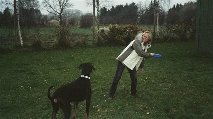 Dobermann Rocky - Kast så for hulen..... billede 19