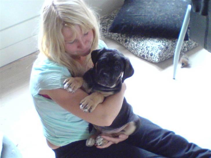 Blanding af racer Hendrix - Putter hos mor billede 7