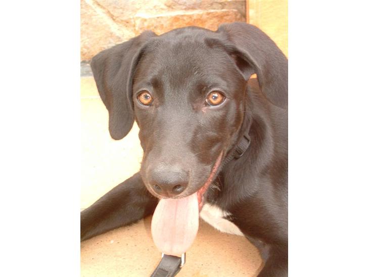 {{currentPhoto.altText}} billede {{currentPhoto.number}}