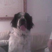 Blanding af racer emma