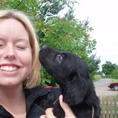 Flat coated retriever Fia (Kennelnavn Honey) 