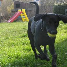 Blanding af racer **Jeaci** R.I.P :'(