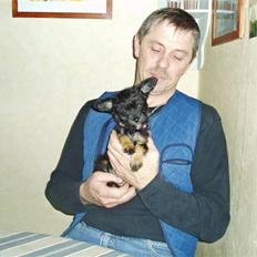 Blanding af racer Sille