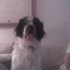 Blanding af racer emma