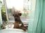 Blanding af racer Gimli  R.I.P 10/7-09 - Luuuuuuk mig nu ind moooarr *Nyt d 18/8-07*