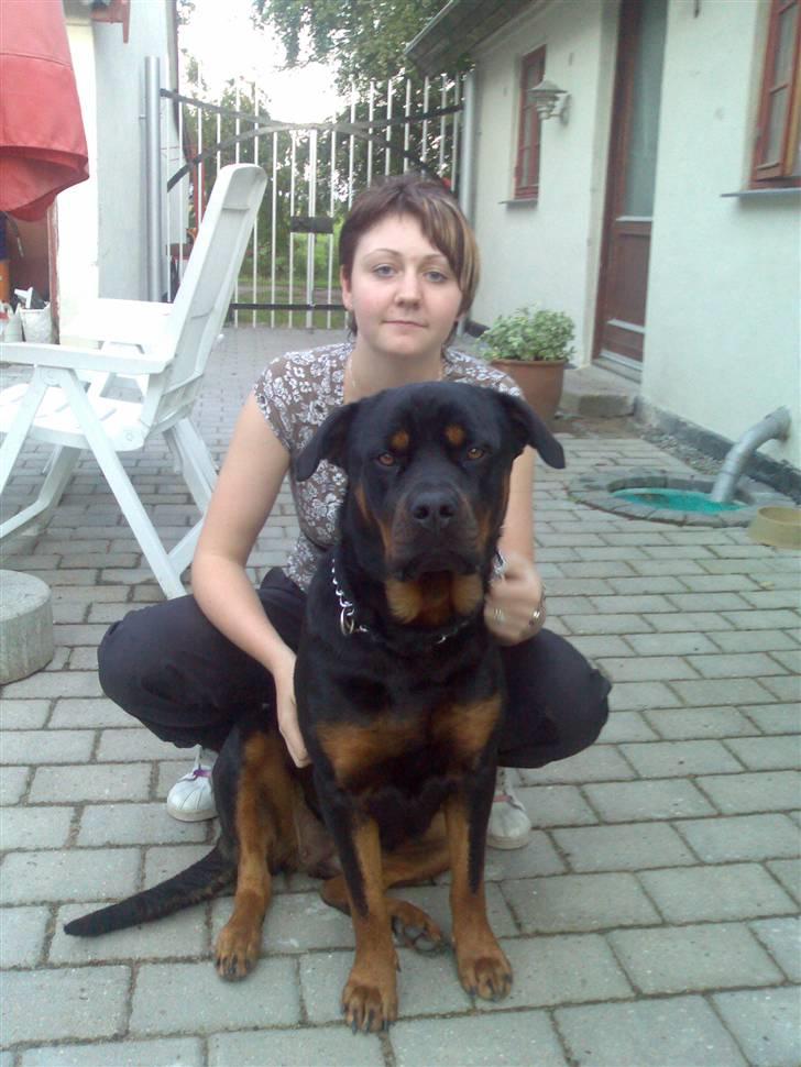 Rottweiler Fia - Se hvor fine vi er billede 18