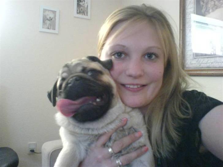 Mops Orla - Her er Orla og Mig sammen.  billede 8