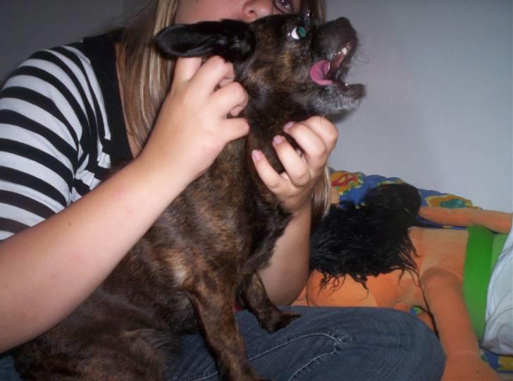 Blanding af racer Futte - "Puhaa jeg gaber lige lidt":P billede 10