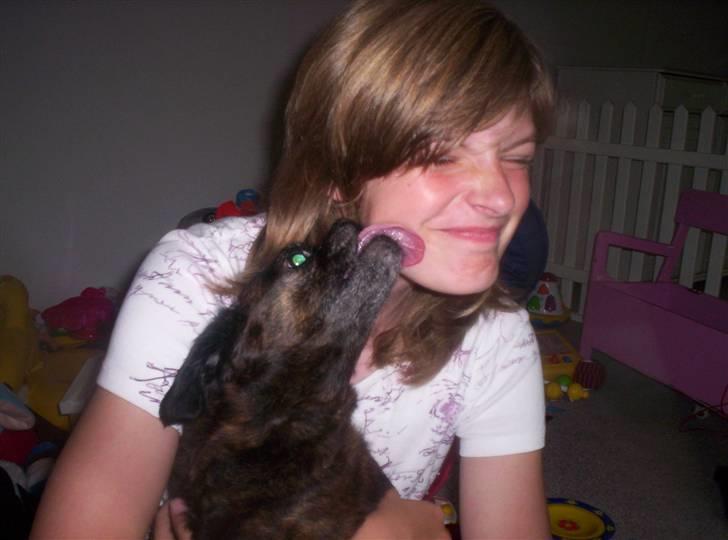 Blanding af racer Futte - Min veninde Camilla med Futte.. Hun skulle lige slikkes lidt:P billede 11