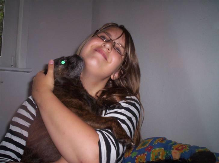 Blanding af racer Futte - Så skulle jeg lige ha turen:P billede 12