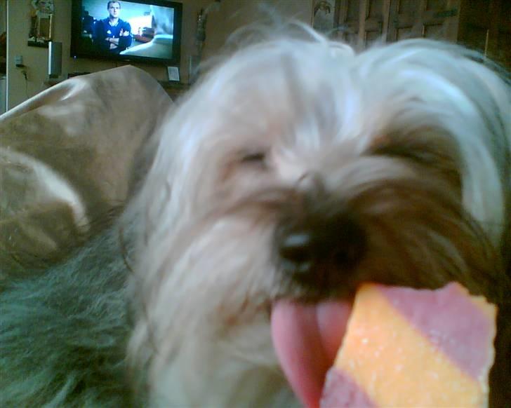 Blanding af racer Viggo - Ej is kan da altid glide ned billede 9