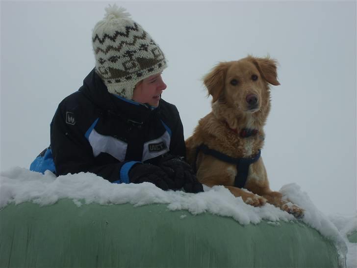 Blanding af racer Molly billede 4