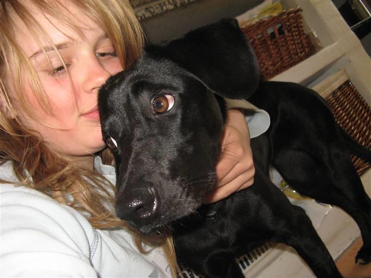 Blanding af racer **Jeaci** R.I.P :'( - GUD! Hvor er du altså bare pinlig! ;D billede 8