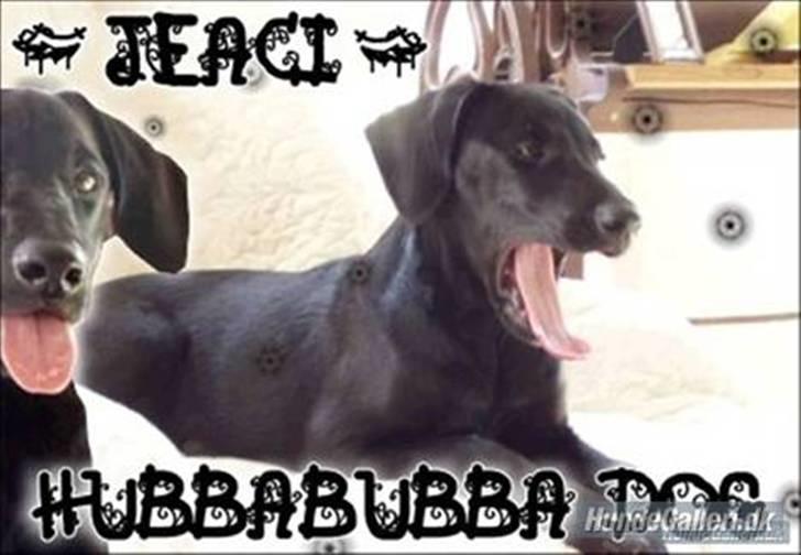 Blanding af racer **Jeaci** R.I.P :'( - Gaaaaaaaaaaaaaab! billede 17