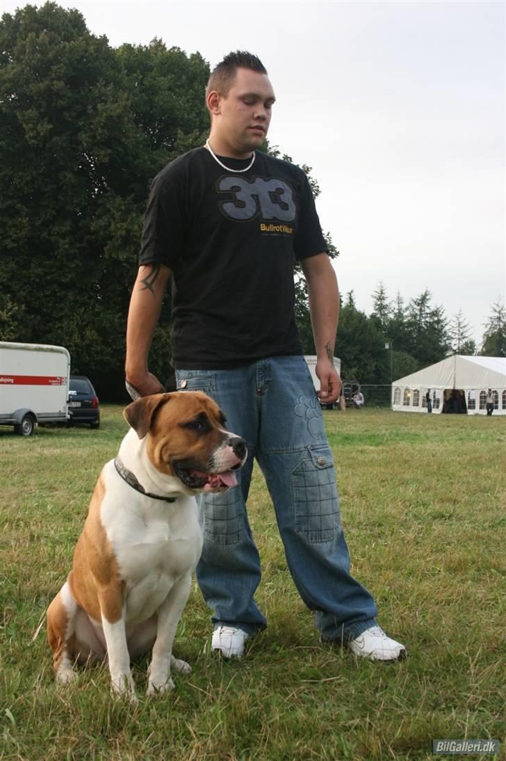 Blanding af racer Kenai - mig og min dejlige hund billede 1