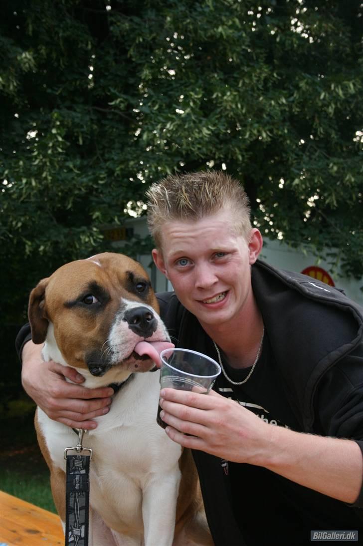 Blanding af racer Kenai - han blev tørstig billede 2