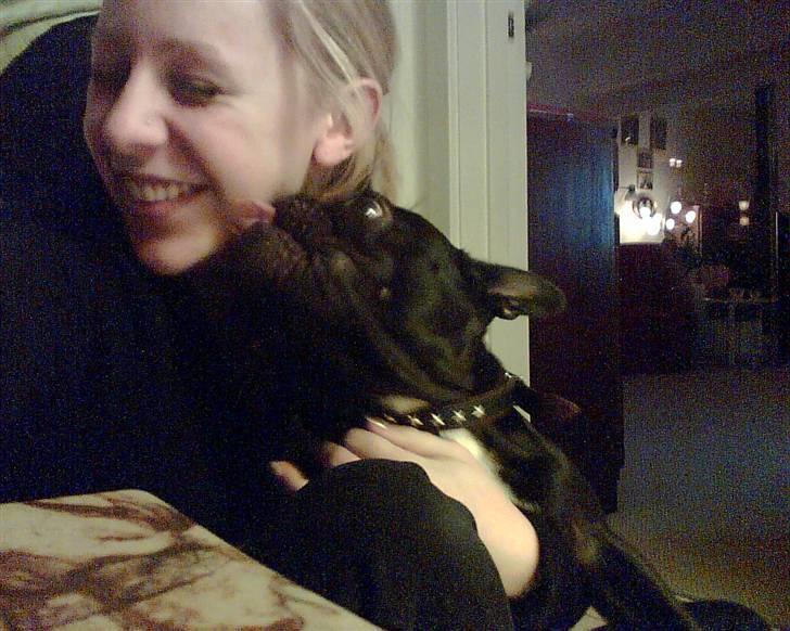 Fransk bulldog Sascha - Så er jeg klar igen... Mys mys!! billede 5