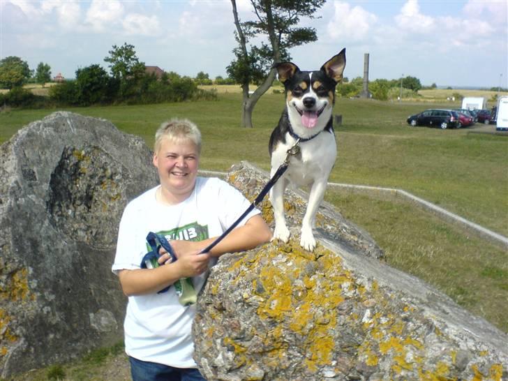 Blanding af racer Samson ('02 - '09) - Mig og Samson billede 6