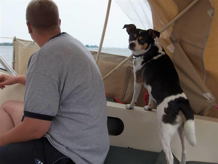 Blanding af racer Samson ('02 - '09) - Godt med havluft! Det kan vi li´... billede 8