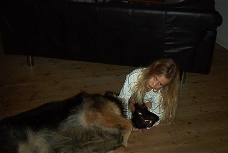 Schæferhund Cæzar ( Død ) - mig hende den lille :D billede 4