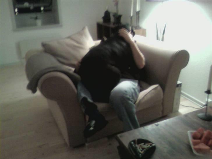 Blanding af racer Freya billede 13