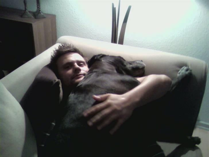 Blanding af racer Freya billede 14