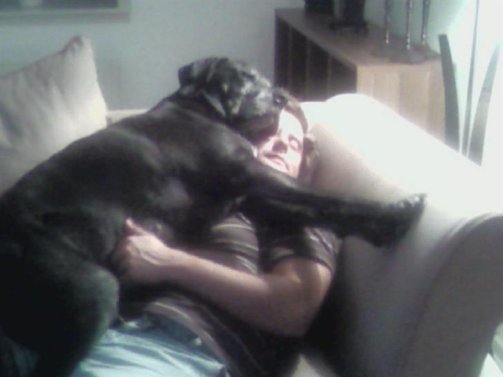 Blanding af racer Freya billede 15