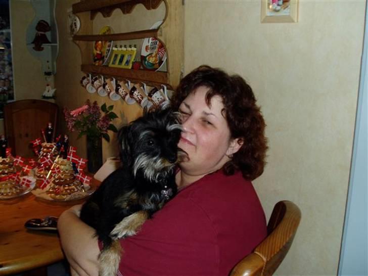 Blanding af racer Sille - ja man er vel mors pige.. billede 12