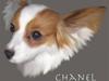 Papillon Chanel