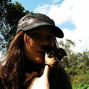 Prazsky krysarik Misja