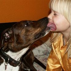 Blanding af racer Ida 