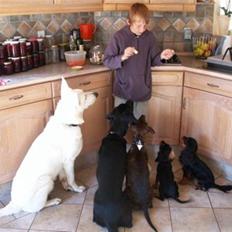 Blanding af racer Ida 