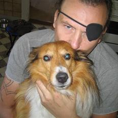 Blanding af racer Mickey Solgt