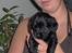 Blanding af racer Daisy - min mor er helt forelsket i mig, jeg er kun 4 uger...