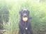 Labrador retriever Chavez