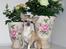 Chihuahua ~ Kelbi ~ - Kelbi