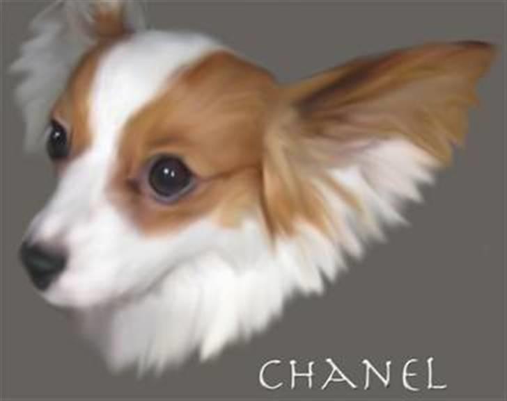 Papillon Chanel - Chanel <3 billede 1