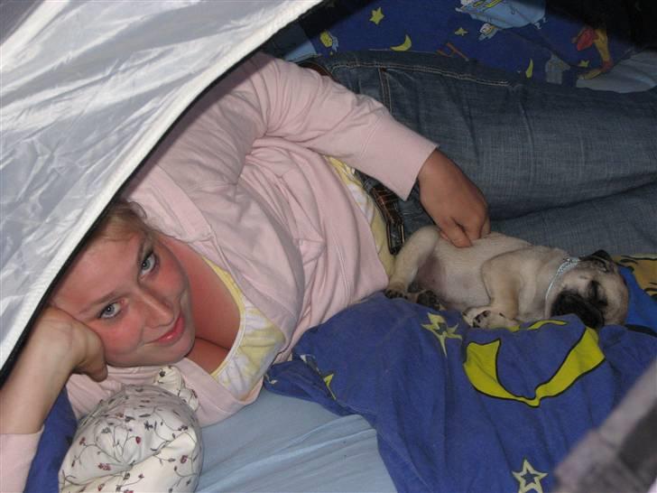 Mops Baloo - På telttur i Hvide Sande med Far, Mor, Onkel Mads og Tante Maja billede 13