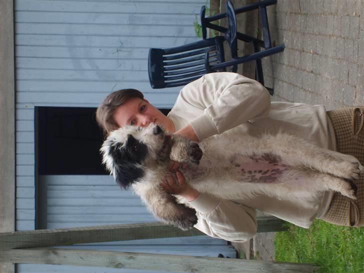 Blanding af racer candy billede 7