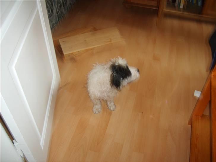 Blanding af racer candy billede 8