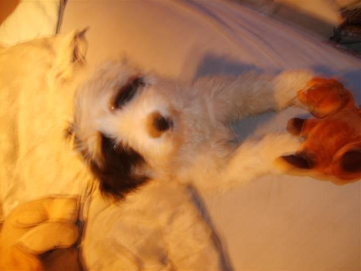 Blanding af racer candy billede 9