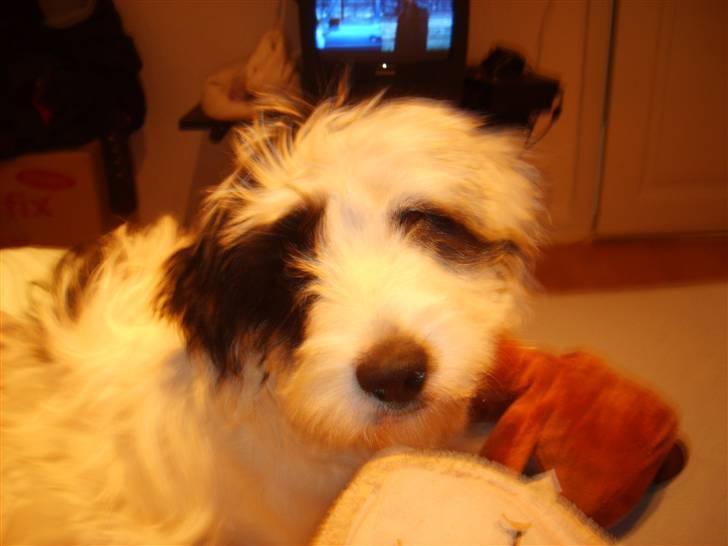 Blanding af racer candy billede 10