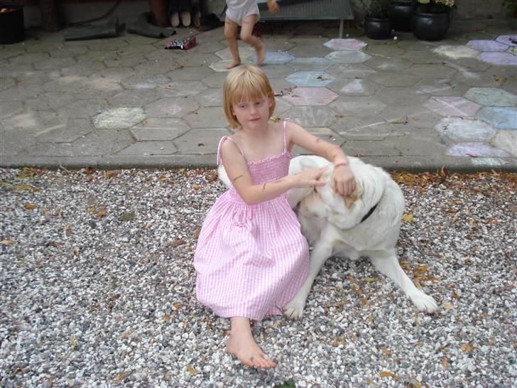 Blanding af racer Tilde <3 *R.I.P* billede 3